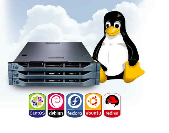 LINUX VPS 32GB RAM 480GB NVME 8x Intel Silver vCPU 16TB Bandwidth