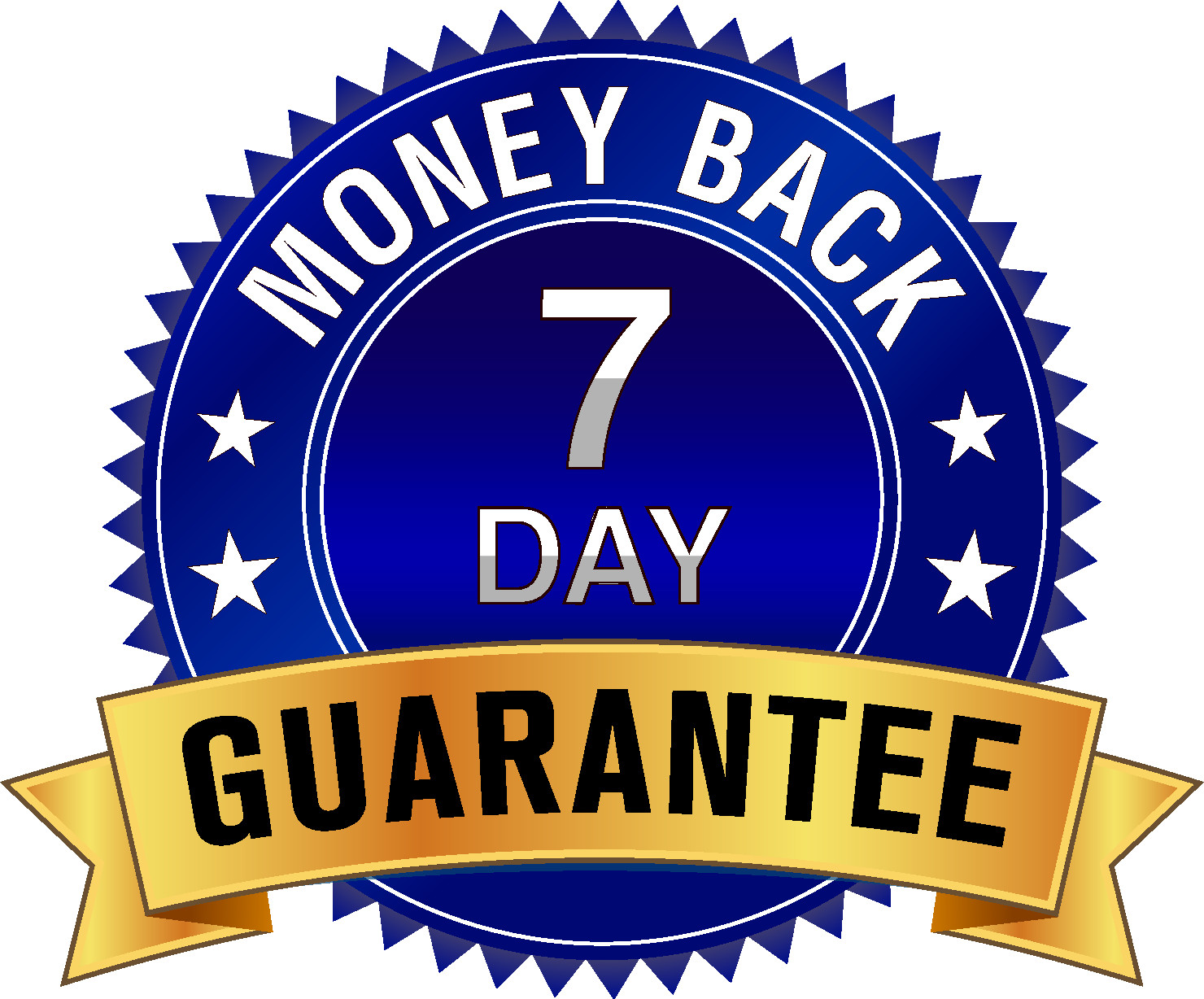 Professional Site Radio & TV Hosting Bundle-Customized Website Included